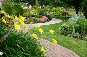 Garden1.jpg