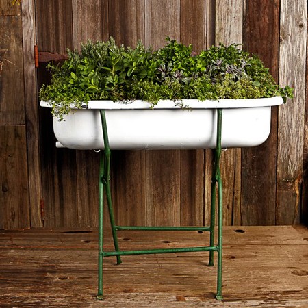vintage-bathtub-for-herbs-and-gardening.jpg