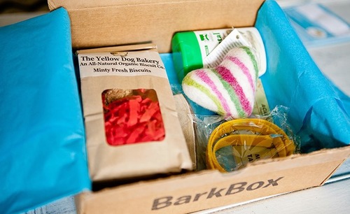 bark-box-1.jpg