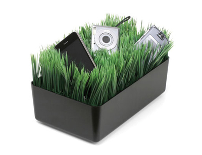 Grass-Charging-Station.jpg