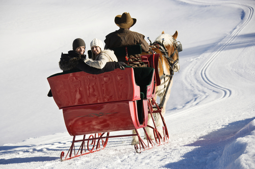 Sleigh_Ride_Winter_Ideas.jpg