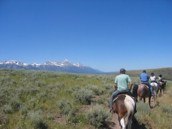 horseback_riding_jackson_hole-1.jpg