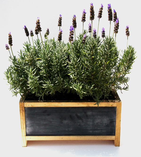 herb_planter_box-1.jpg